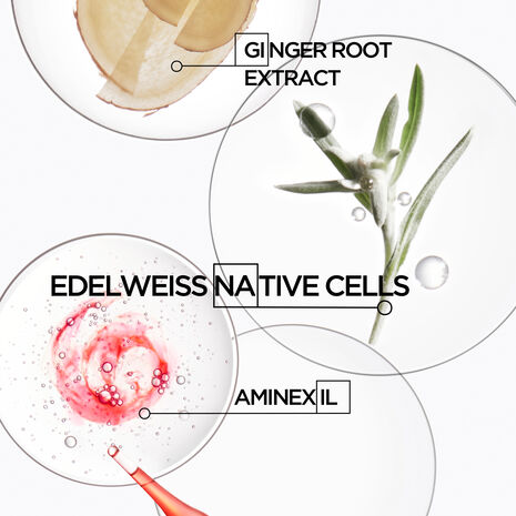 Genesis Anti-Hair Fall Fortifying Hair Serum