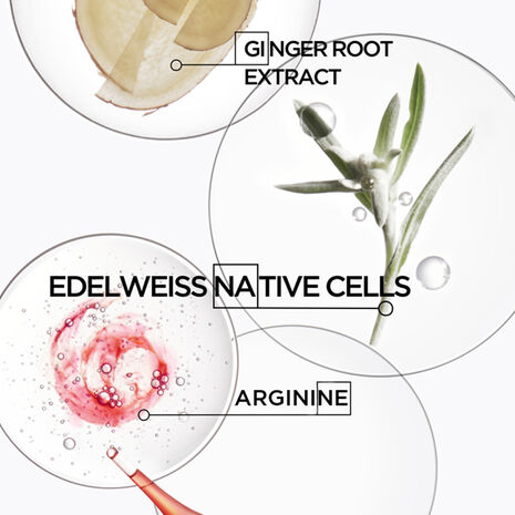 Genesis Fortifying Shampoo For Thick Hair
